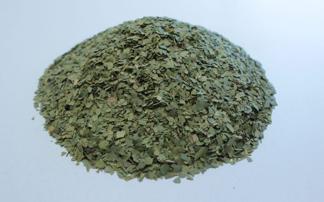 LAUREL LEAVES CUT