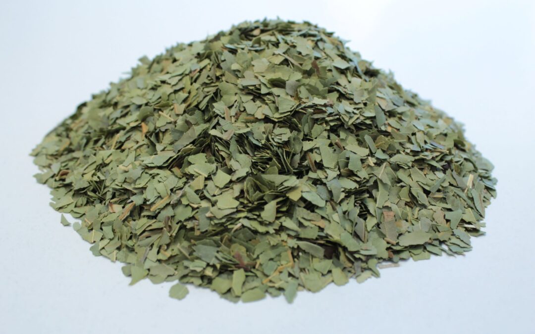 LAUREL LEAVES CUT
